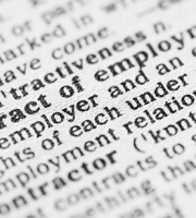 Employment Litigation